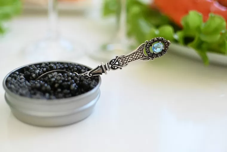 Caviar de France (Moulin de la cassadotte), Pertuis, Saumoneraie Saint-Martin