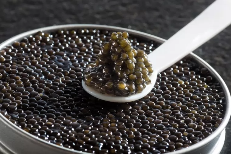 Comment déguster le Caviar…conseils de la Saumoneraie St-Martin à Pertuis, Pertuis, Saumoneraie Saint-Martin