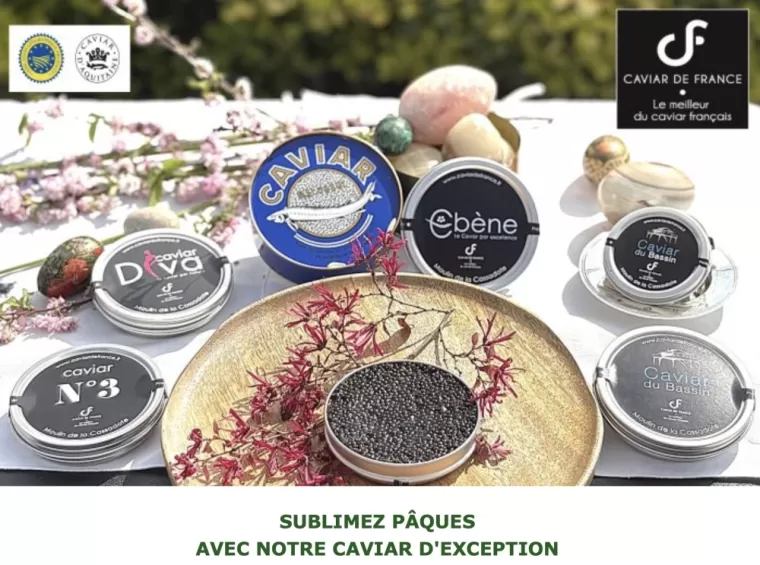 SUBLIMEZ PÂQUES !!!! , Pertuis, Saumoneraie Saint-Martin